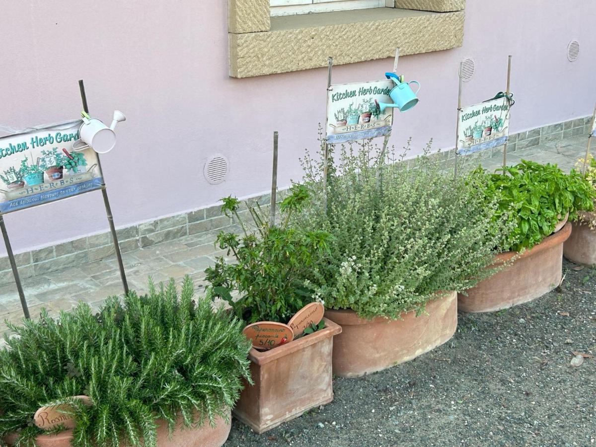 Fattoria Palazzeta - Pet & Family Friendly Aparthotel Cecina  Buitenkant foto