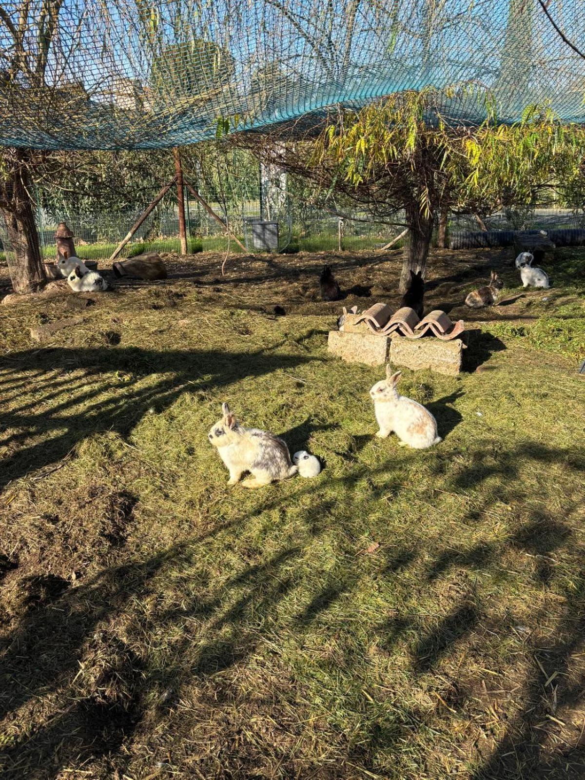 Fattoria Palazzeta - Pet & Family Friendly Aparthotel Cecina  Buitenkant foto